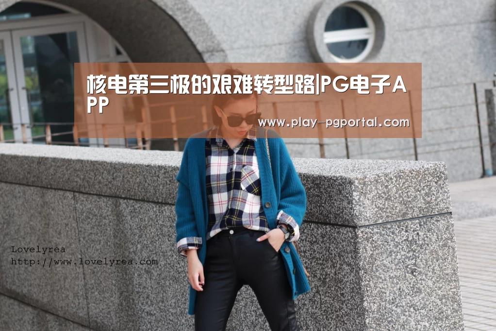 核电第三极的艰难转型路|PG电子APP(图2) APP下载