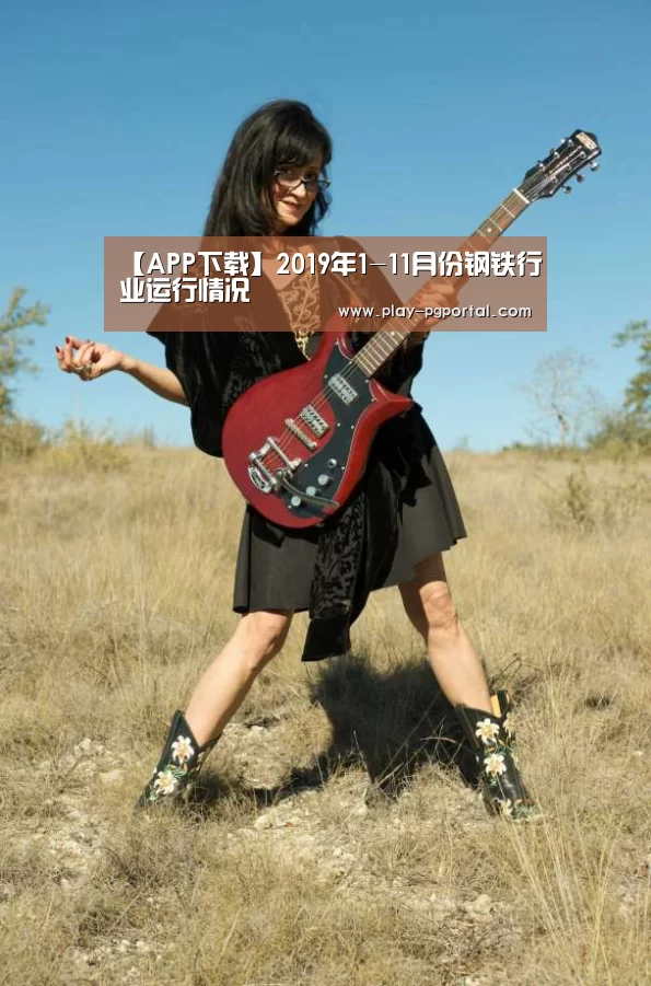 【APP下载】2019年1-11月份钢铁行业运行情况(图2) PG电子APP