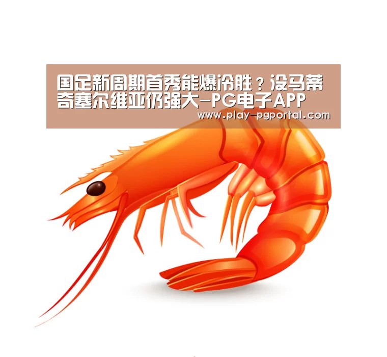 国足新周期首秀能爆冷胜?没马蒂奇塞尔维亚仍强大-PG电子APP(图2) APP下载