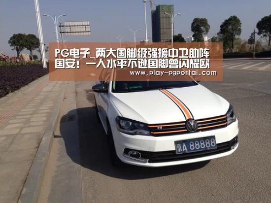 PG电子_两大国脚级强援中卫助阵国安!一人水平不逊国脚曾闪耀欧洲!(图1) APP下载