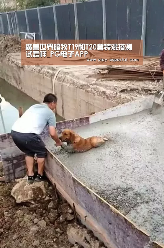APP下载