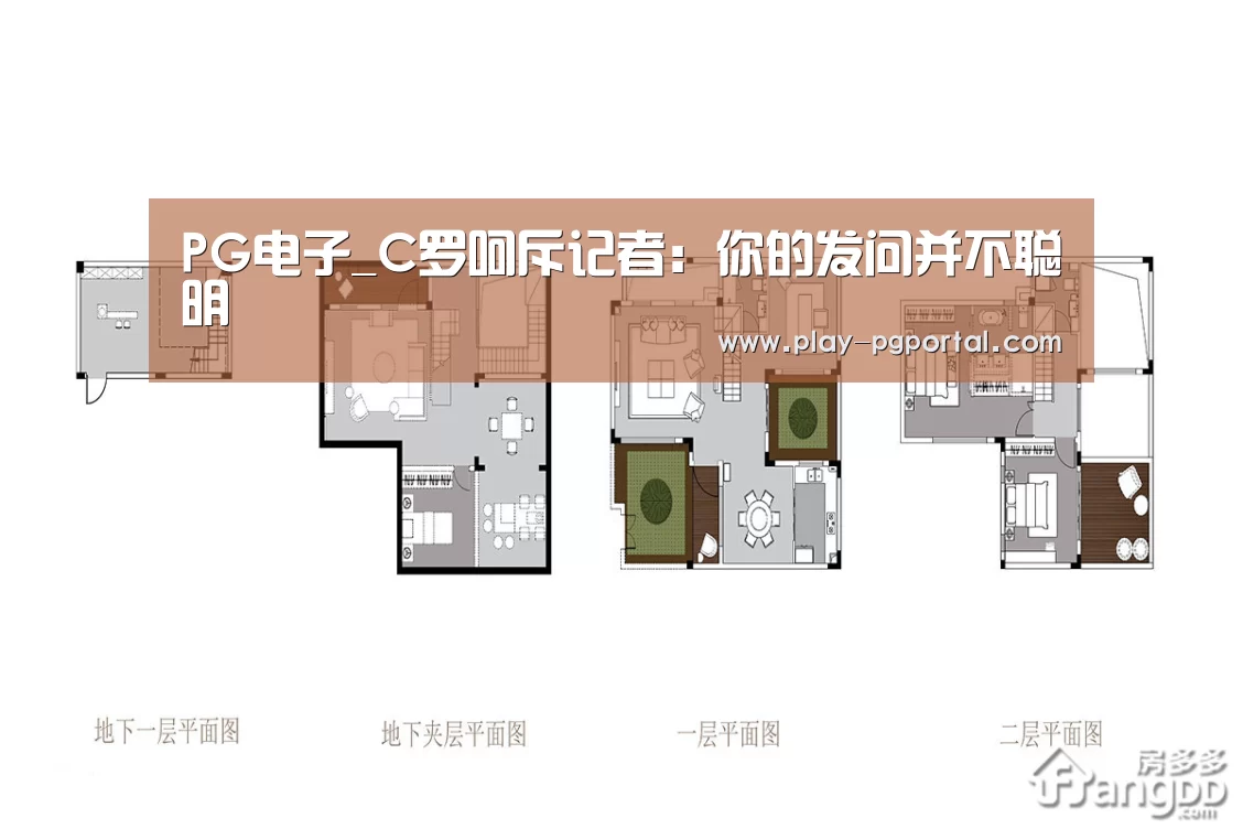 PG电子_C罗呵斥记者:你的发问并不聪明(图2) 在线试玩
