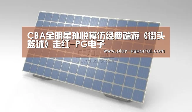 CBA全明星孙悦模仿经典端游《街头篮球》走红-PG电子(图3) PG电子
