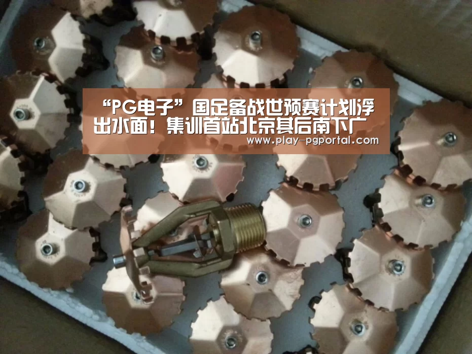 “PG电子”国足备战世预赛计划浮出水面!集训首站北京其后南下广州(图2) APP下载